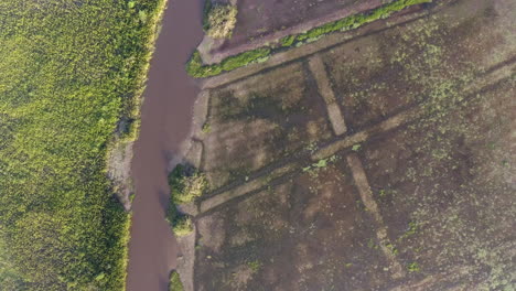 Aerial-drone-vertical-view-of-kaw-swamp-in-French-Guiana.